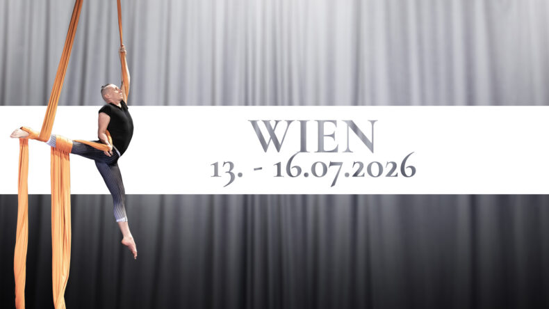 Aerial Silk - Teacher